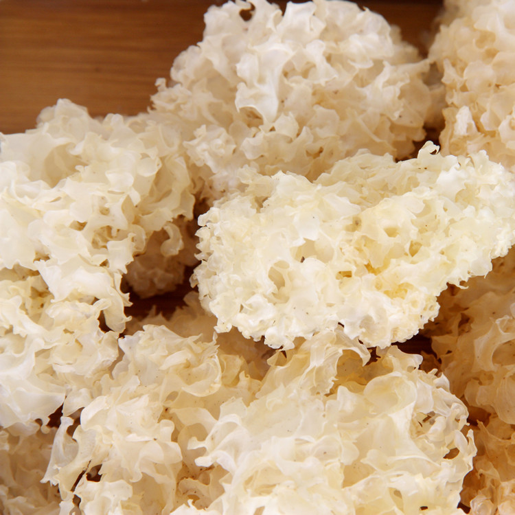 正宗通江椴木银耳25公分以下小号银耳散装