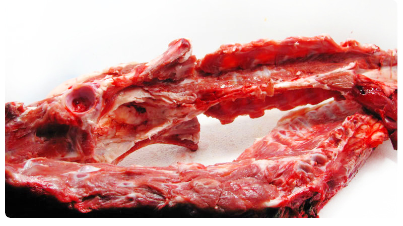 普通羊脊骨 羊骨架 现杀羊肌骨新鲜批发 散装称重