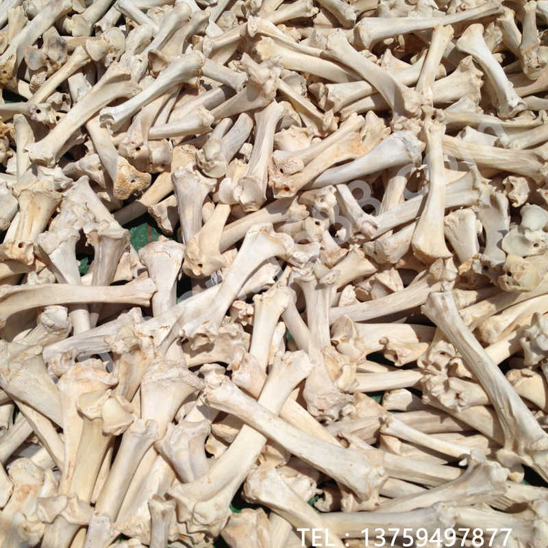 厂家供应:牛骨 牛骨原材料 脱脂牛骨 漂白牛骨 水牛骨 黄牛骨