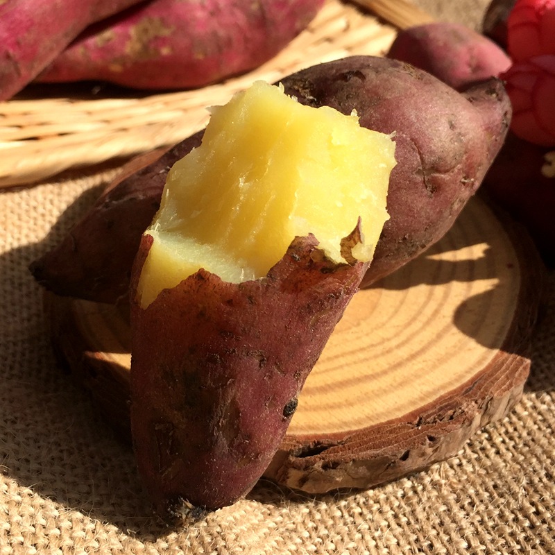 淀粉加工红薯,山东红薯,高淀粉红薯,徐薯18,商薯19淀粉加工红薯