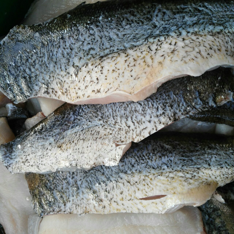 常年供应3/8斤鲢鱼去皮新鲜鲢鱼肉可制鱼丸鱼蛋冷链运营