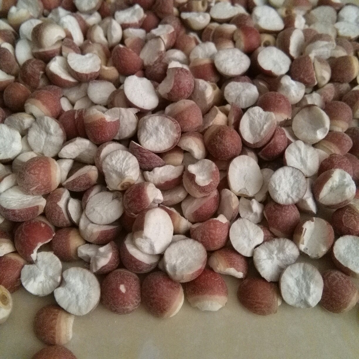 邵东县廉桥中药材专业批发市场益民中药材经营部