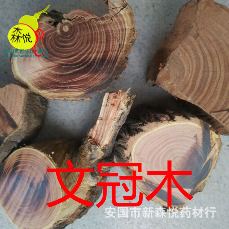 文冠木 批发冷背中药材 赞旦生 专药用 正品 保含量 新品上市