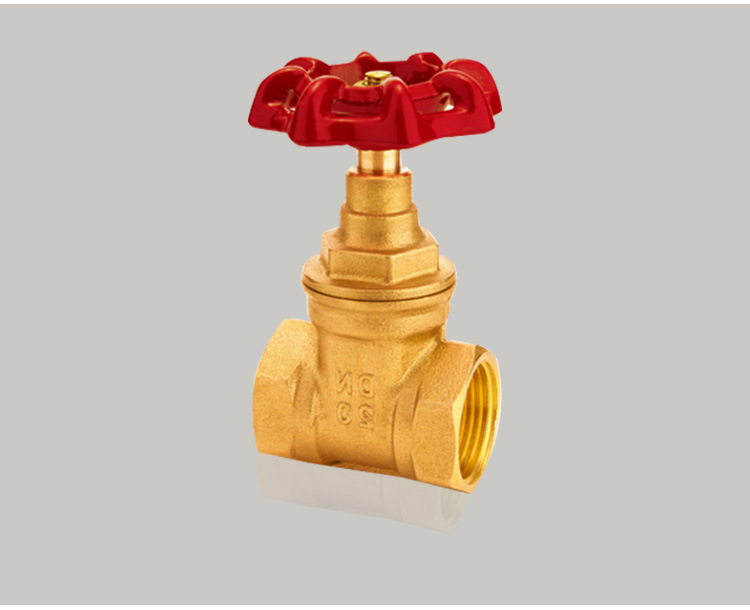 厂家批发 杰克龙锻压黄铜闸阀 6分丝扣内螺纹手动环铜阀门