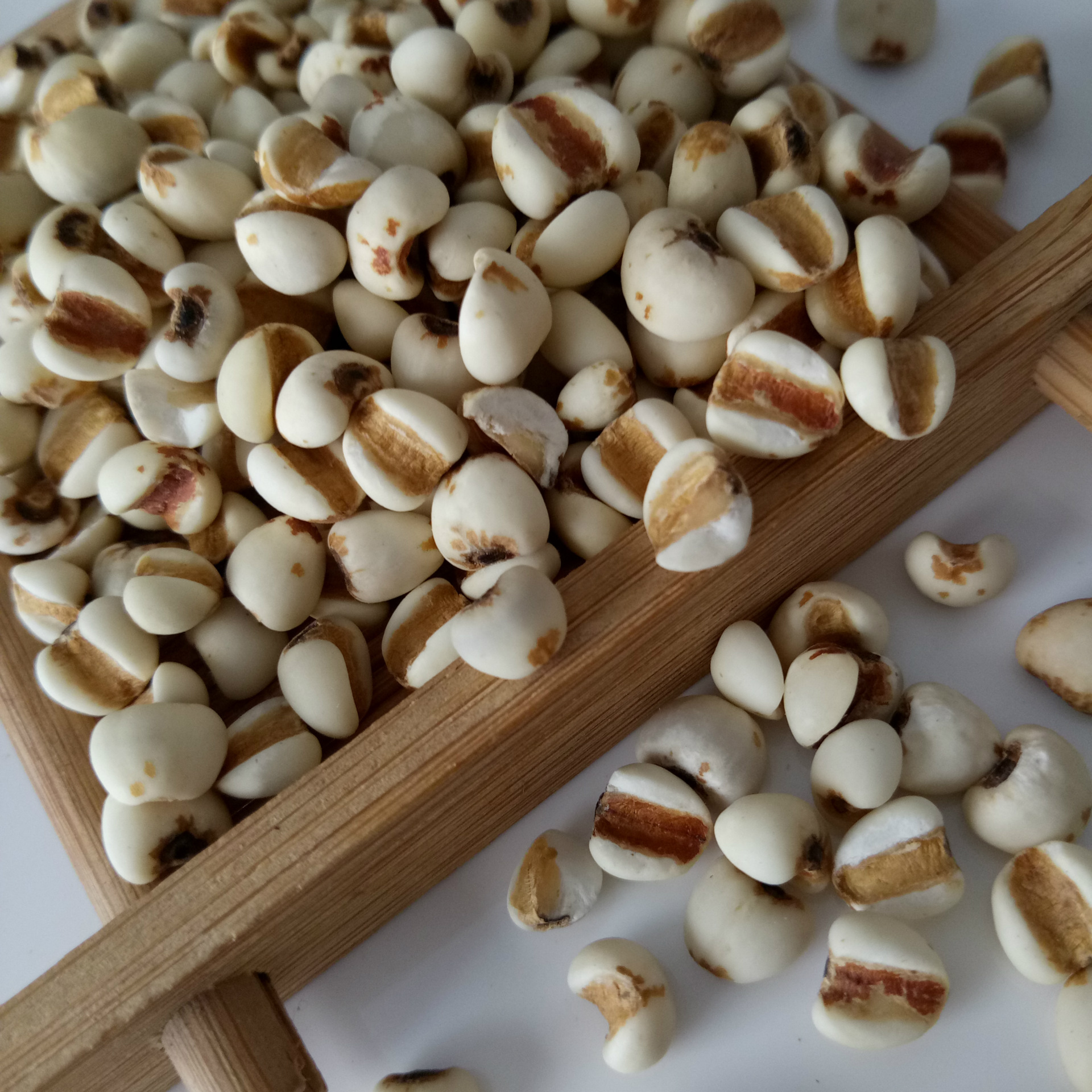 批发供应中药材薏米 薏苡仁 大薏米 药食两用大薏苡仁 量大从优