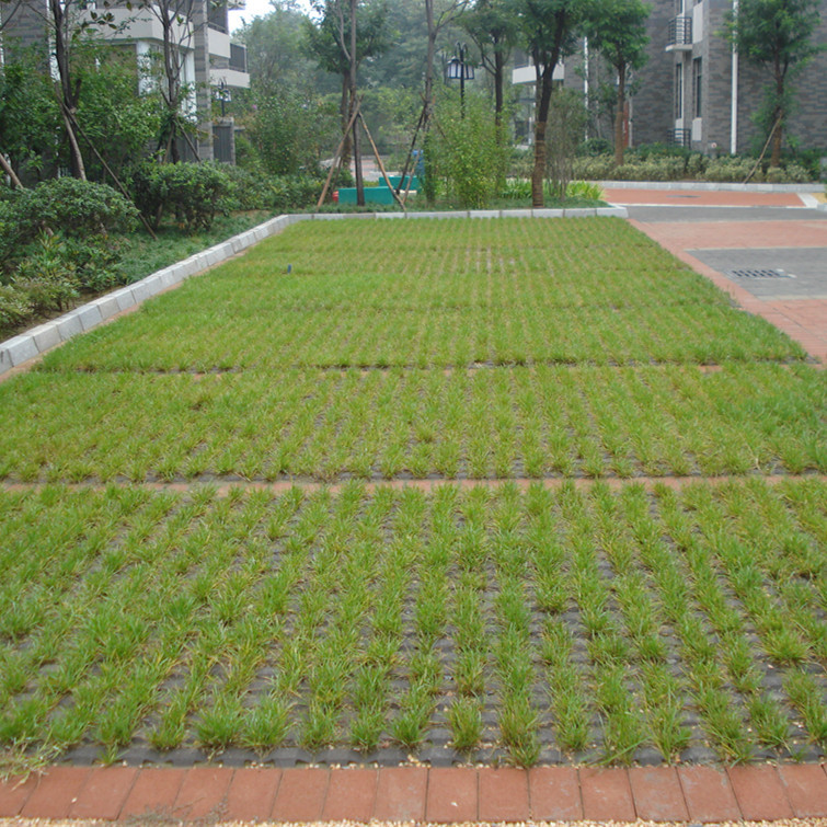 车位草坪砖 200*100*60 300*300*60 400*400*60 植草砖生产厂家