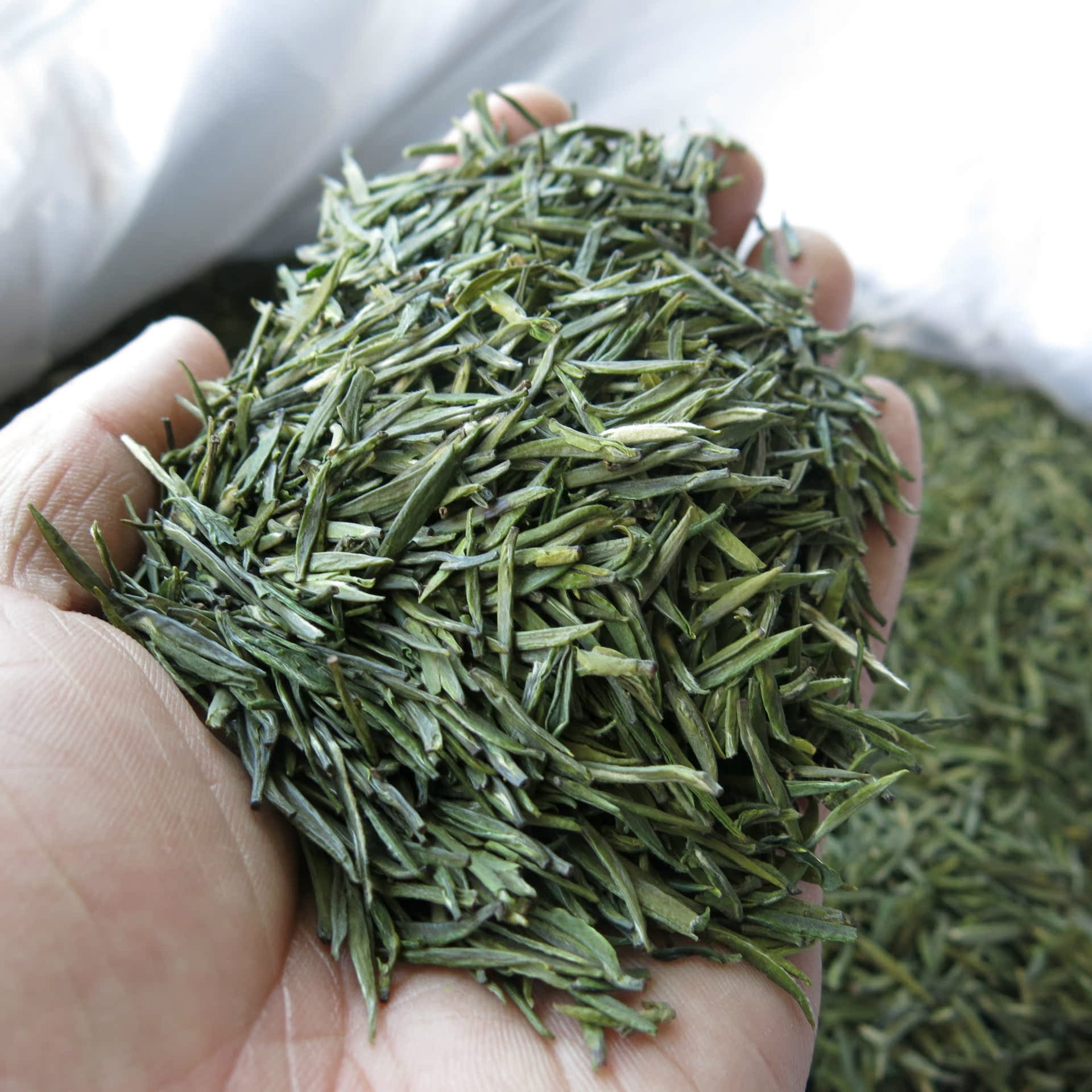 2018年新茶包邮 绿色食品 多白毫 口感好 单芽头 高山绿茶 明前茶
