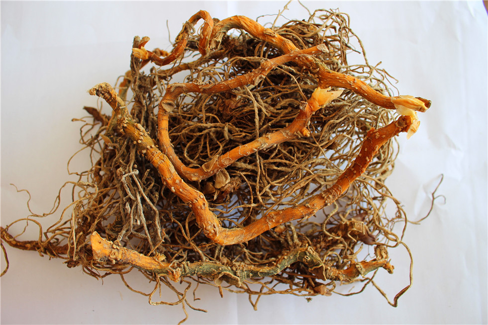 入地蜈蚣 产地直销 中药 中药材 中药批发