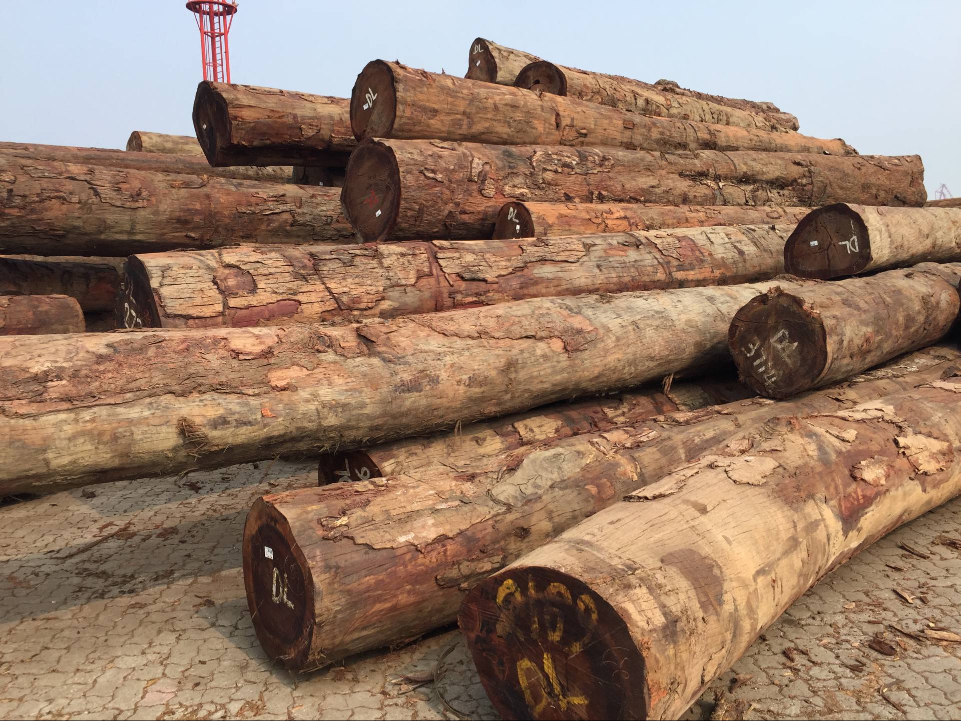 一手货源 大经精品巴新所罗门第伦桃 进口第伦桃原木材防腐木