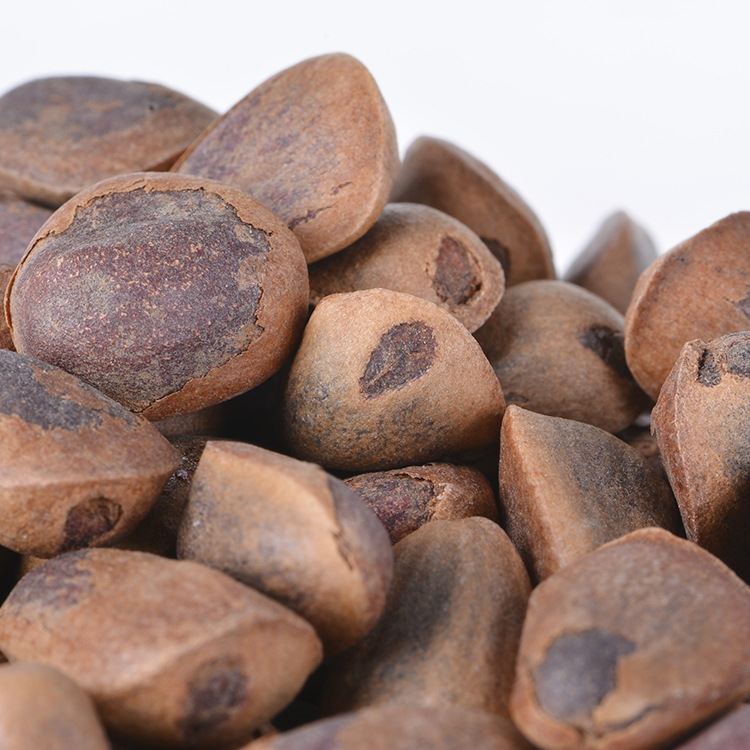 坚果炒货批发 干炒松子年货必备 带壳开口手剥松子 东北松子5kg装