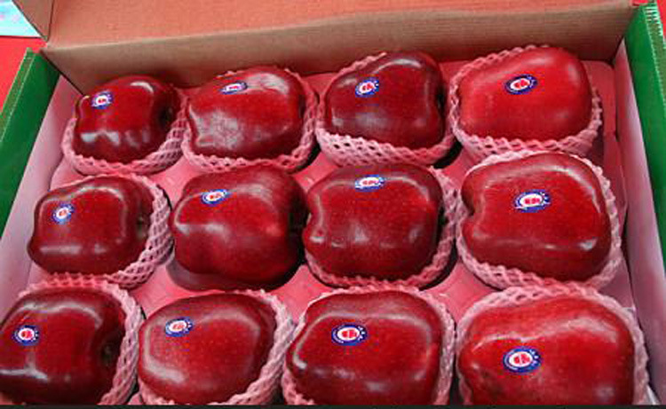 【果果庄园】美国蛇果 进口苹果 新鲜水果 特级9枚包邮 - 水果批发