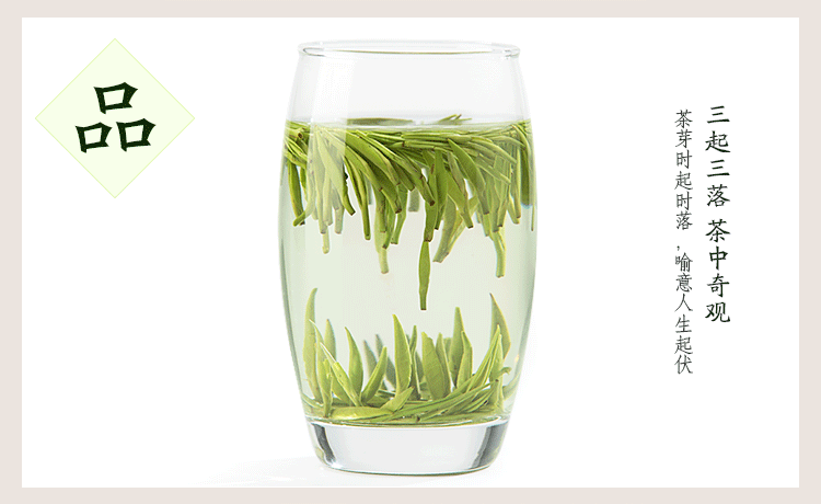 巴陵春君山银针绿茶高级茶叶礼盒装芽茶茶叶特级高端商务礼品茶