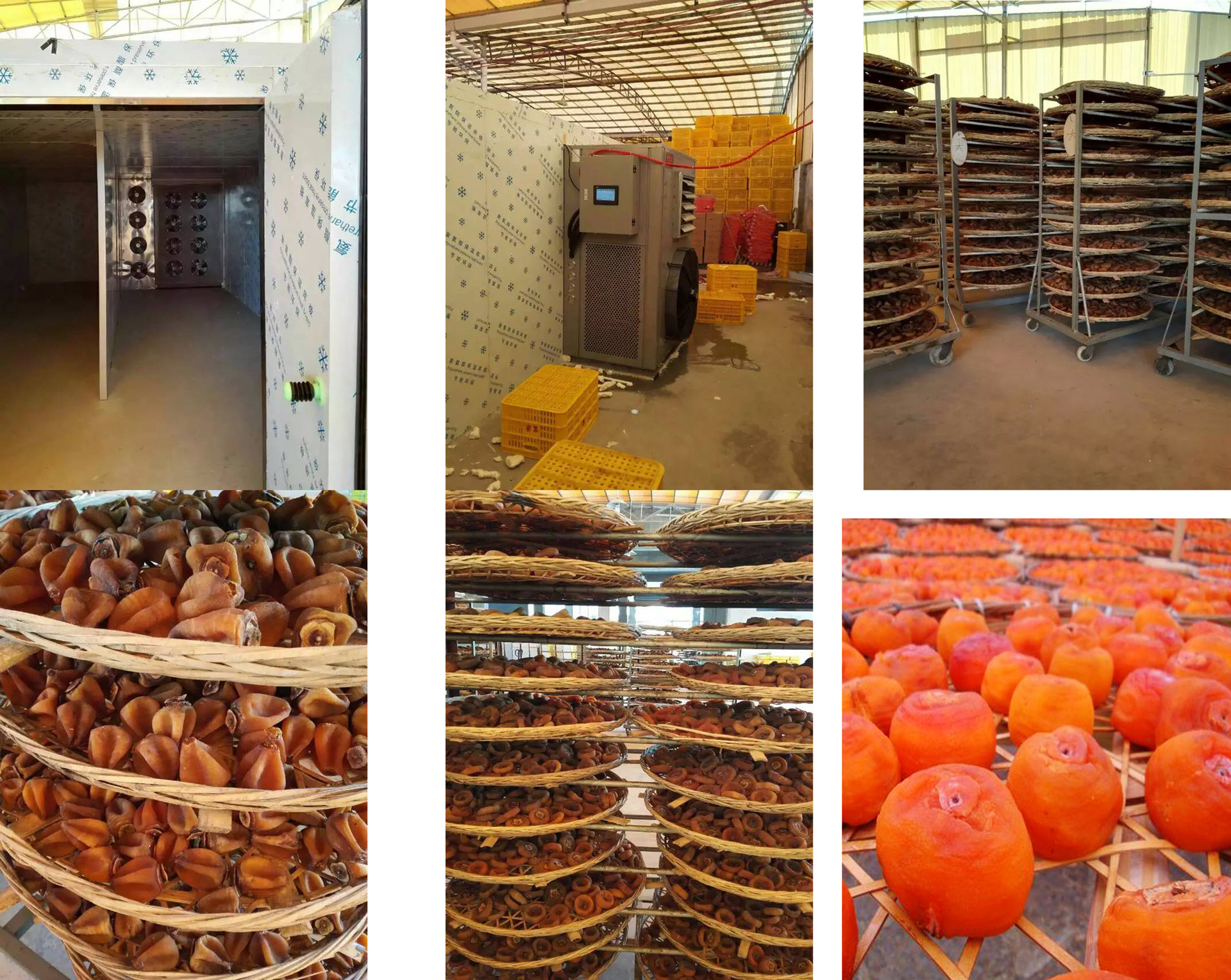 广西定制专用柿饼热泵烘干机 柿饼烘干机 柿子烘干机