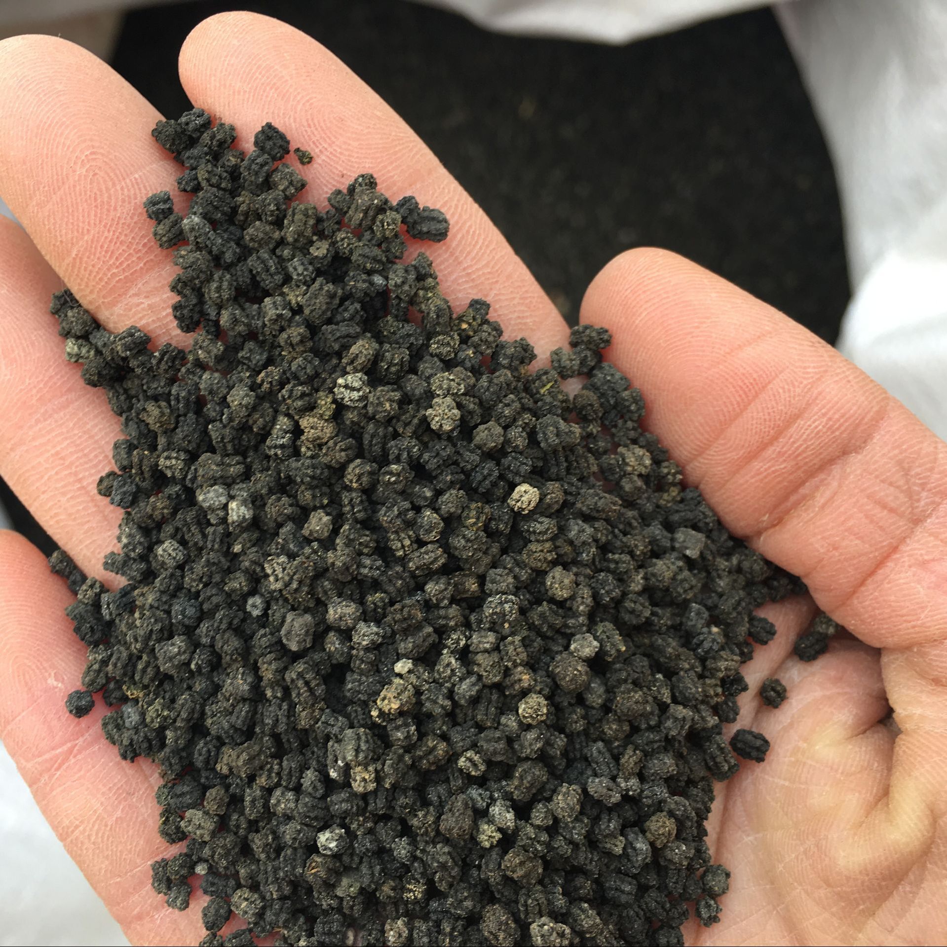 供应优质 蚕沙 原蚕屎 晚蚕砂 婴儿枕头填充 无尘无杂量大价优