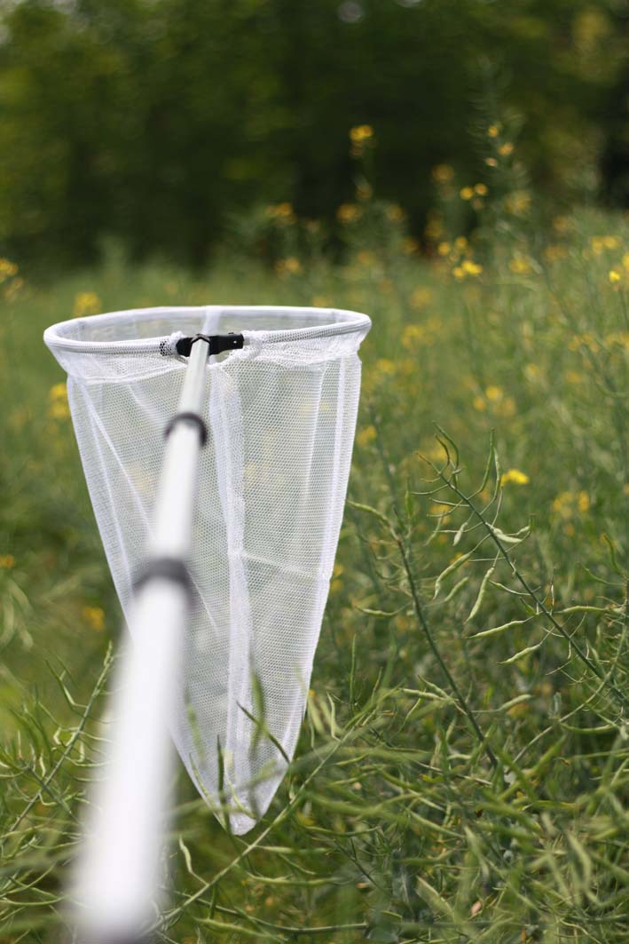 铝合金捕虫网 白加深儿童抄网昆虫网蝴蝶网蜻蜓网伸缩捞鱼网蝌蚪