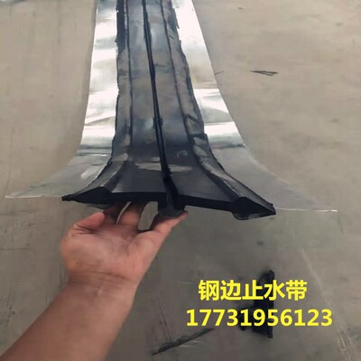 钢边橡胶止水带/中埋式橡胶止水带300*8背贴式止水带 钢边止水带