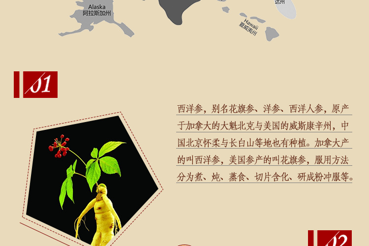 加拿大正宗山西洋参 13g 花旗参段整枝 西洋参花旗参