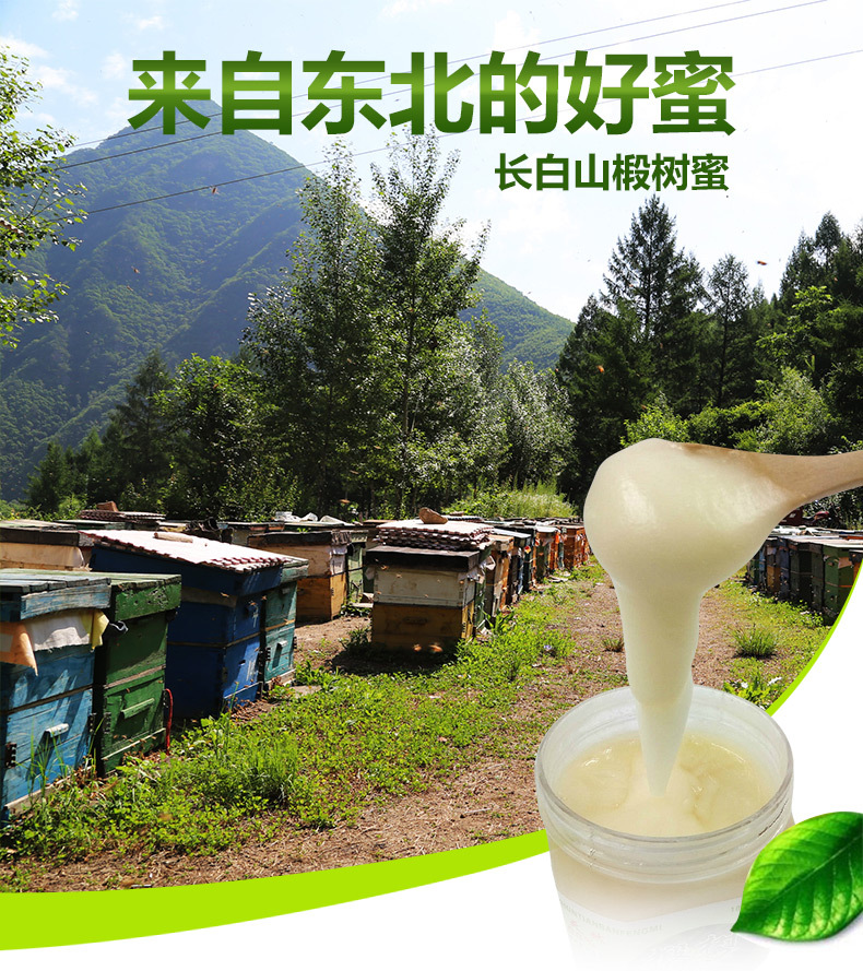 土蜂蜜自产纯正天然长白山农家椴树蜜紫椴雪蜜瓶装1kg
