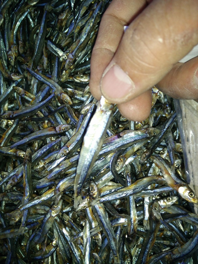 北方干制西施鱼 淡晒西施鱼海鲜水产鱼干