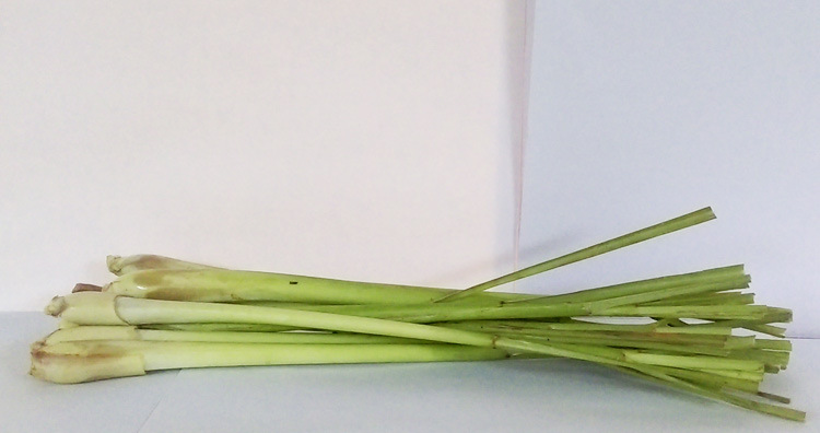 泰国冬荫功正宗香料香茅东南亚菜式调味料汤料批发进口新鲜香茅