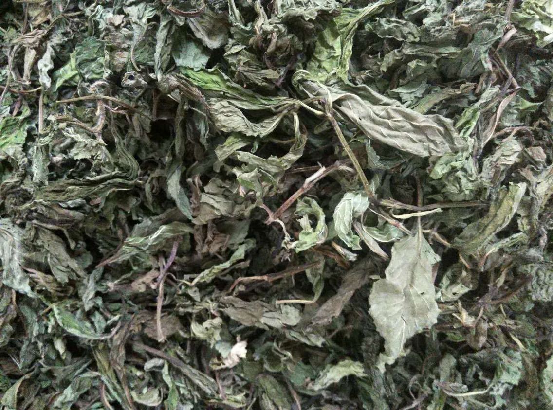 批发供应优质干薄荷叶 薄荷叶干 花草茶 量大从优
