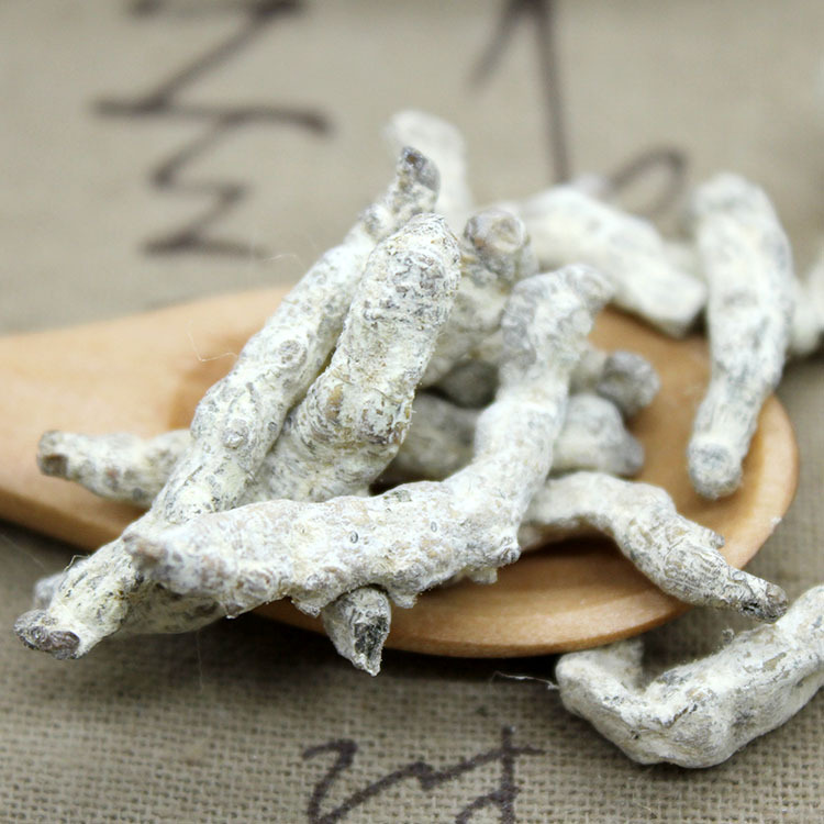 中药材白僵蚕白僵虫天虫白僵蚕粉正品批发500g促销包邮