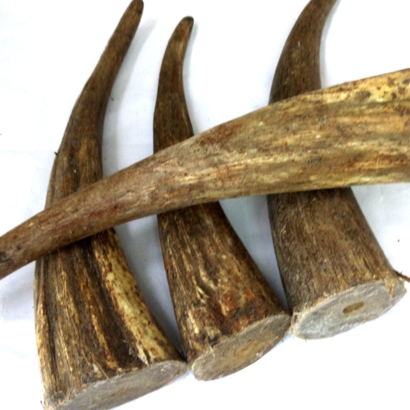 天然乌干达白牦牛角尖实心 色好 厂家直销 120.00元一公斤