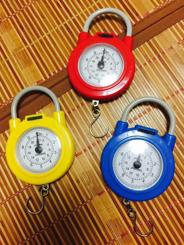 弹簧家用随身小称手提小秤袖珍迷你厨房买菜锁型称10kg