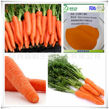 β-胡萝卜素1%  胡萝卜提取物 红萝卜提取物 β-红萝卜素
