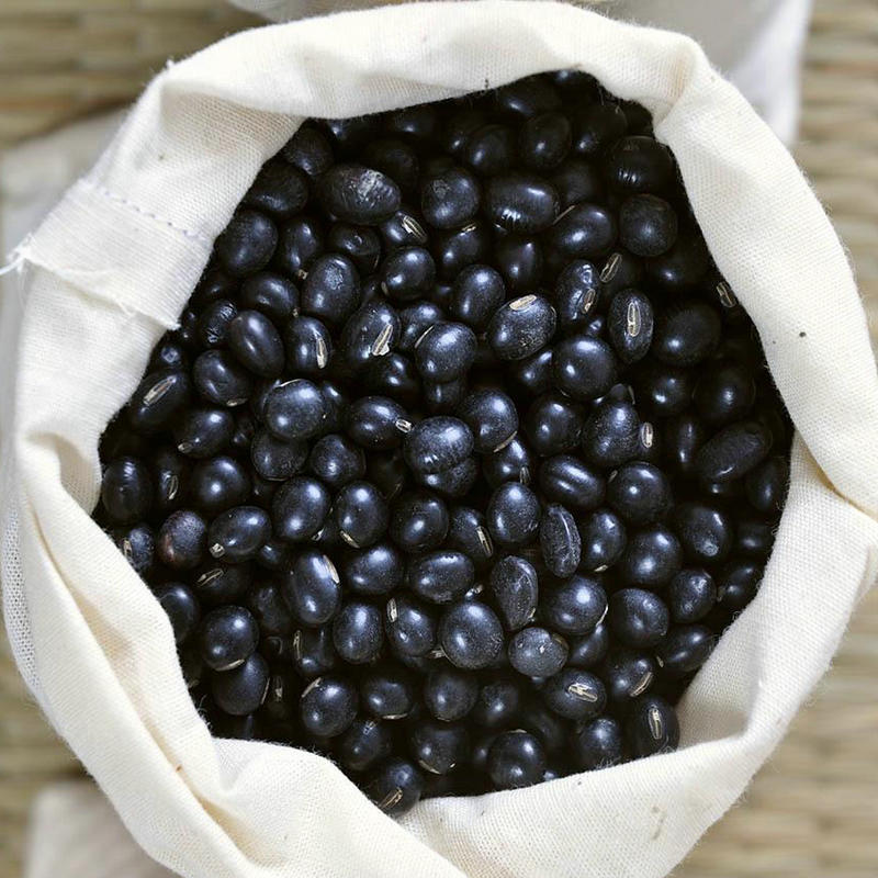 东北黑豆五谷杂粮批发 有机黑豆批发 湖西园粮食批发