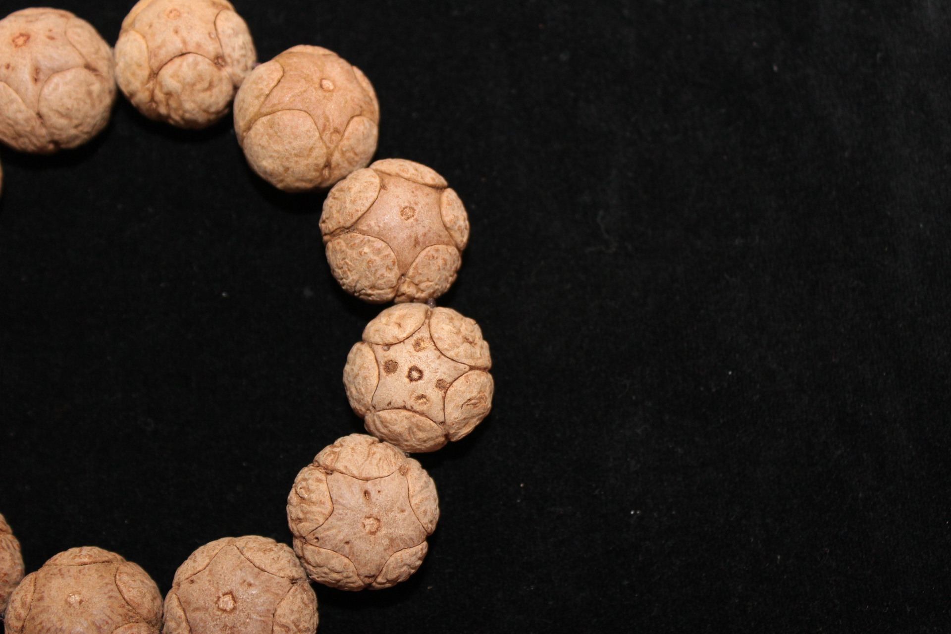 九皇佛珠 尼泊尔精选五星麒麟眼菩提子 菩提子2.0cmx1.