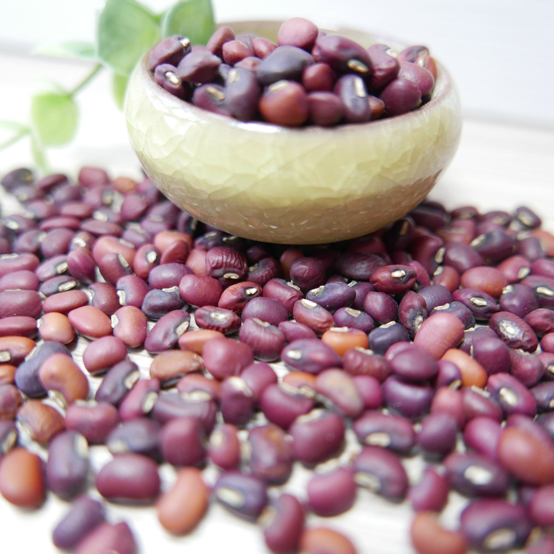 五谷杂粮—— 红豇豆