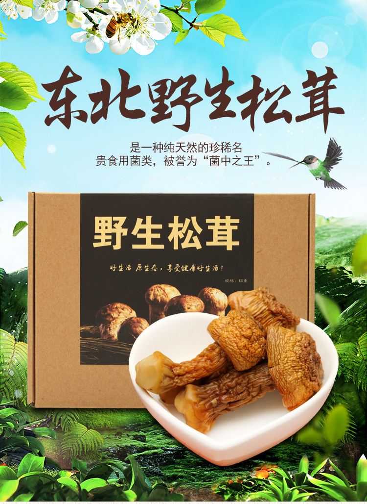 东北特产长白山野生松茸 袋装特级姬松茸干货野生食用菌批发
