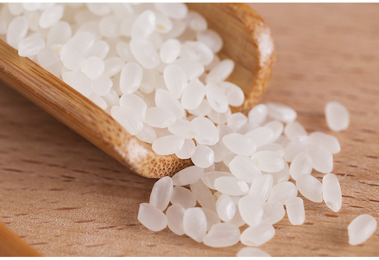 厂家批发东北绿色食品秋田小町米5kg吉林松原优质大米