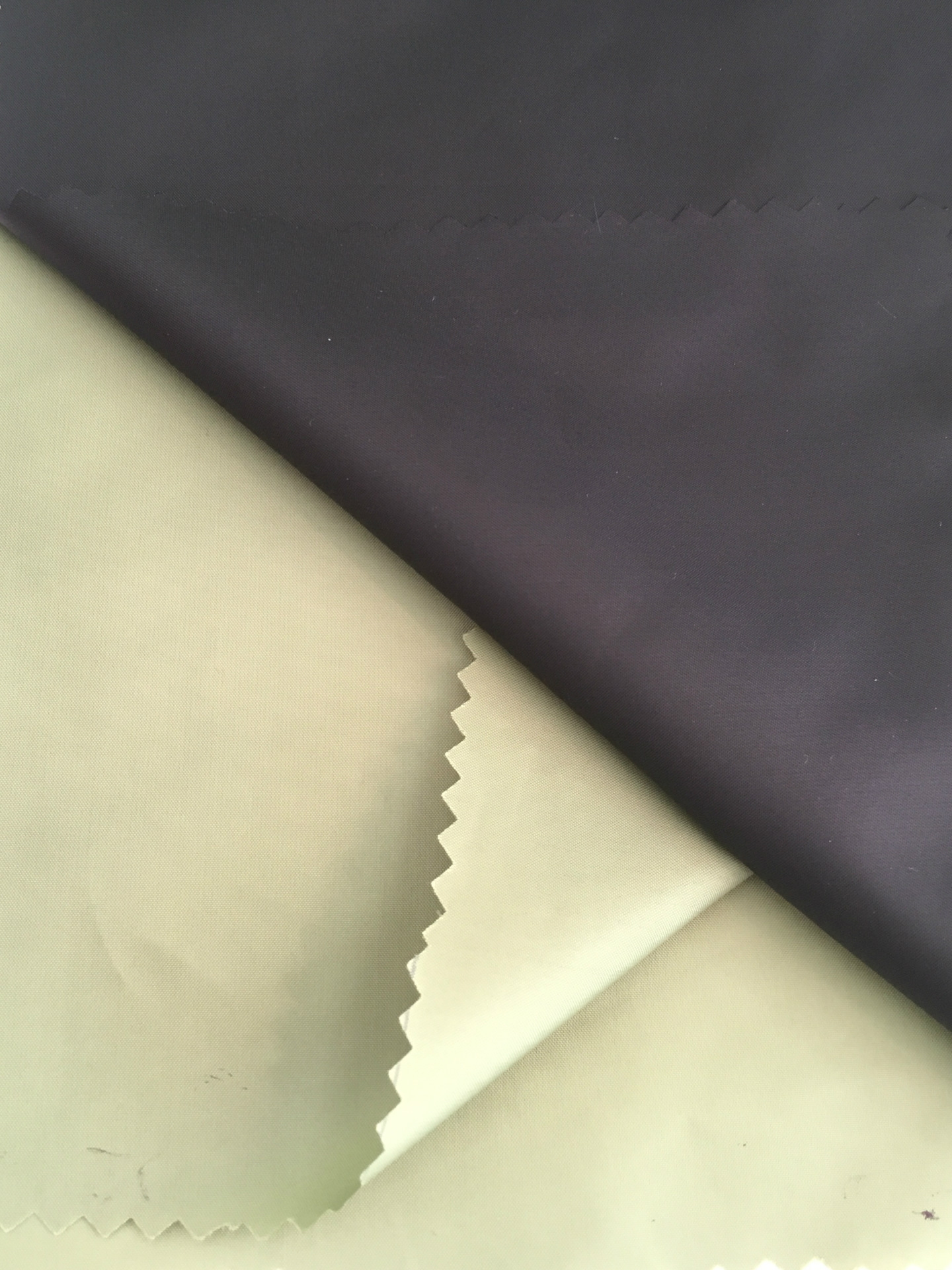 300tf涤塔夫 平纹 油面压光 厂家直销 雨衣羽绒服面料布料