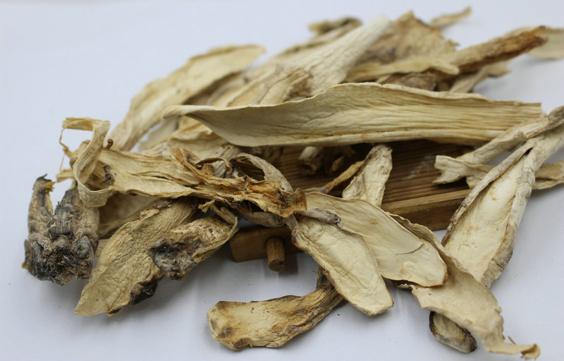 福建土特产 鸡腿菇长腿菇白菇无硫合作社种植干货鸡腿菇 散装批发