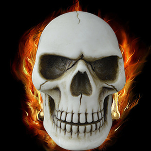 万圣节道具头骨造型装饰品创意整蛊礼物仿真骷髅头模型家居装扮