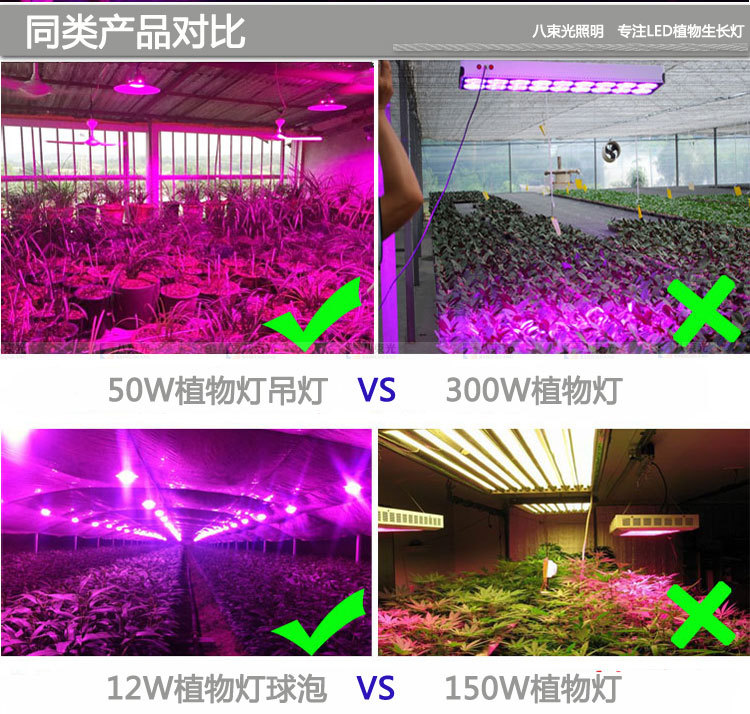 开花结果专用led植物生长灯吊线100w
