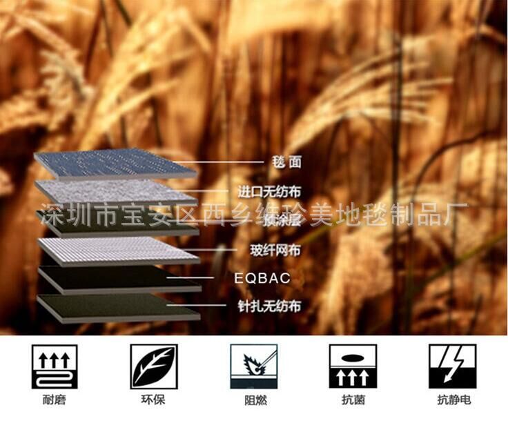 直销办公室方块地毯拼接50x50商用写字楼会议室宾馆卧室酒店台球