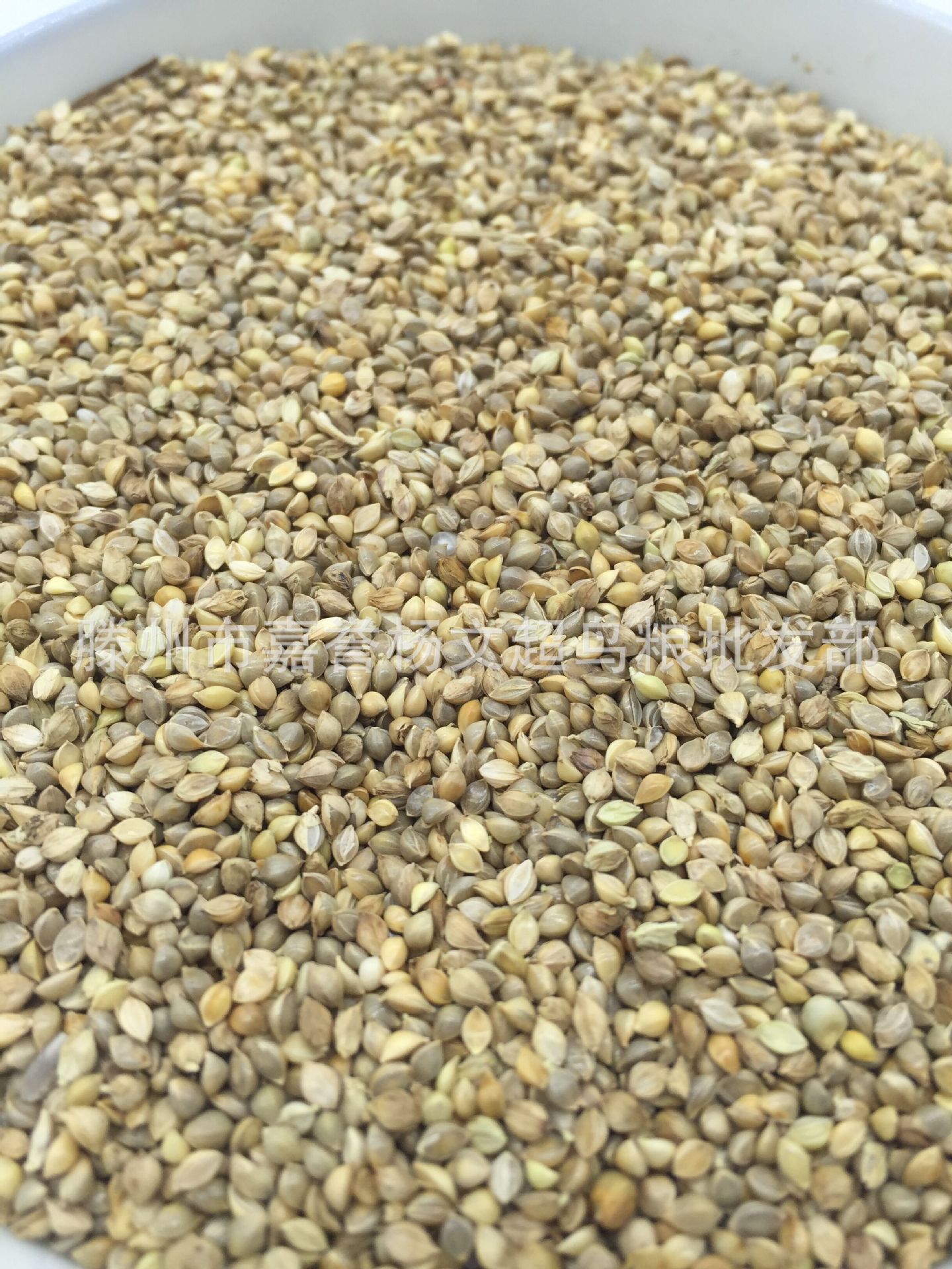 鸟食 稗子 草籽草种子 芙蓉鸟 鹦鹉 珍珠鸟 虎皮文鸟鸟粮饲料