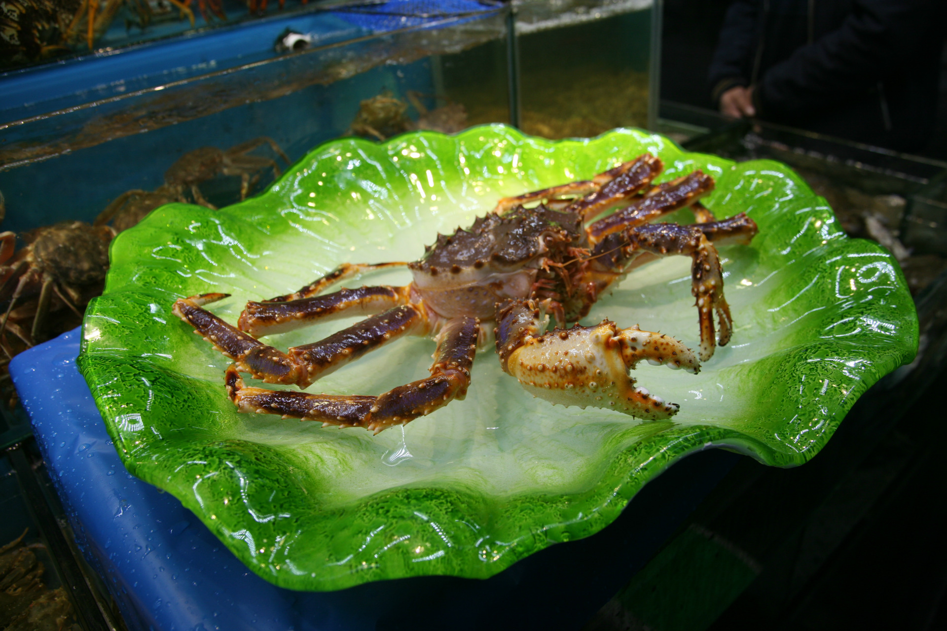 鲜活进口大螃蟹 产地/厂家 美国 品牌 帝王蟹 品种 帝王蟹 生长方式