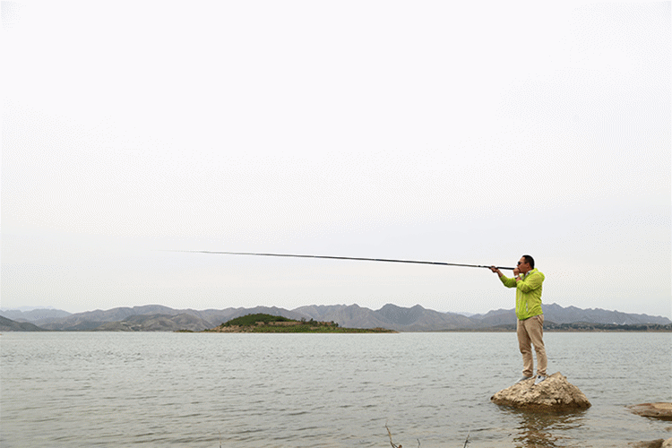 化氏化绍新龙纹鲤鱼竿台钓竿28调超轻超硬鲤鱼竿钓鱼竿特