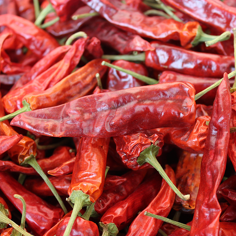 正宗福建辣椒王 古田王中王辣椒 鸭脖料批