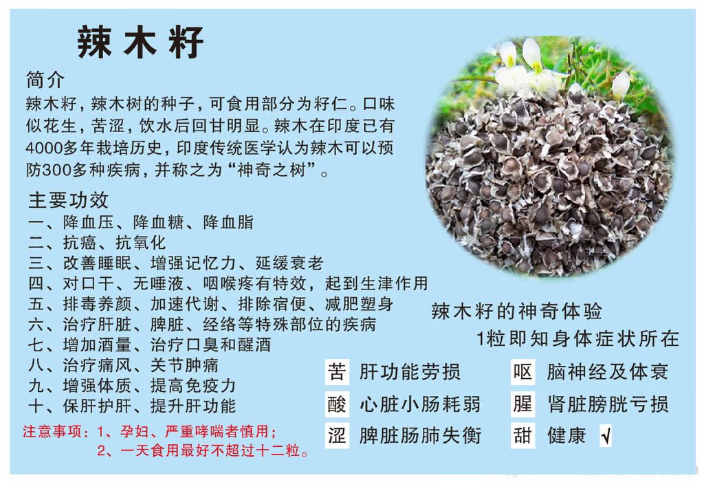 无衣辣木籽 印度辣木子天然辣木种子 送广告录音