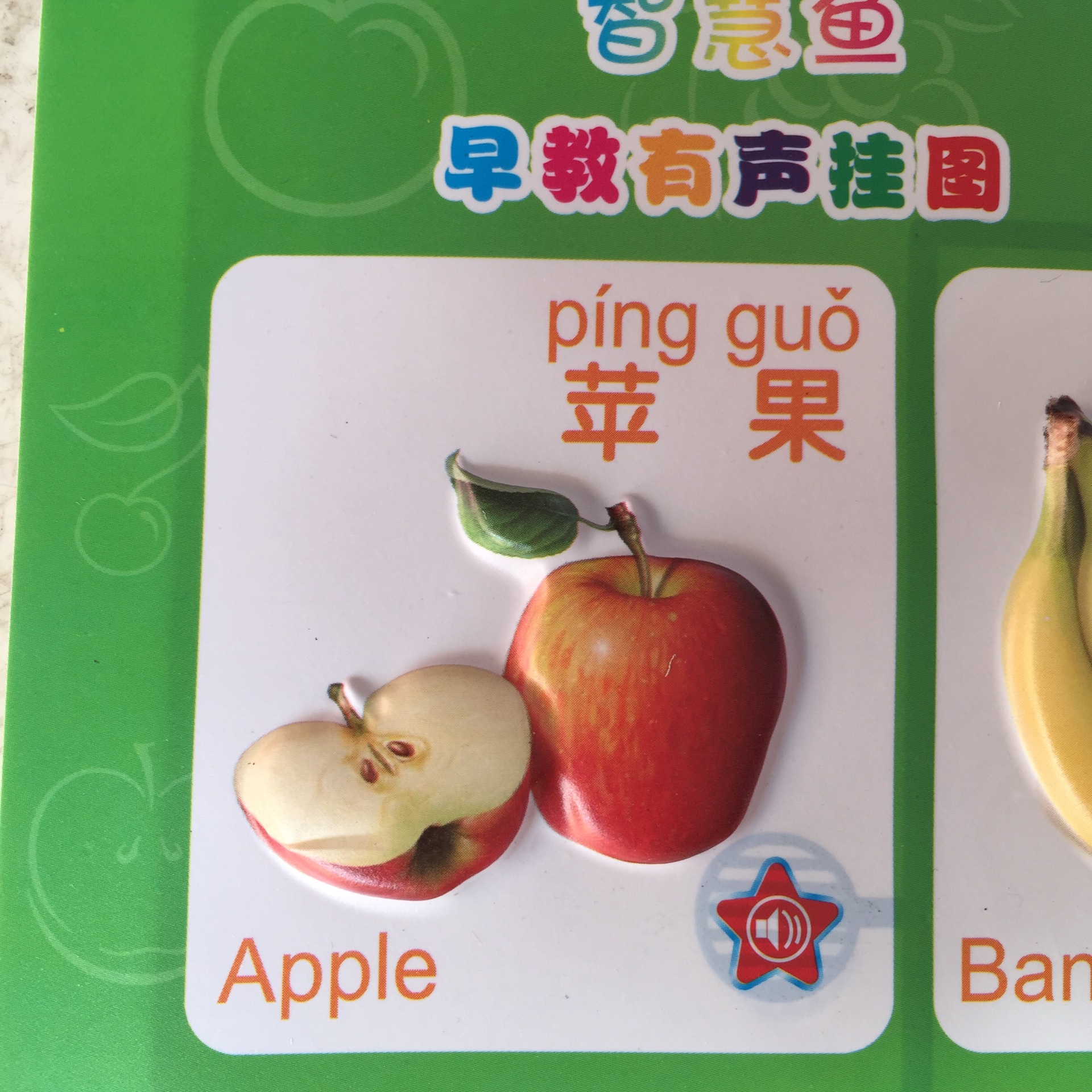 厂家直销 幼儿早教有声挂图 多种类水果挂图 辨水果