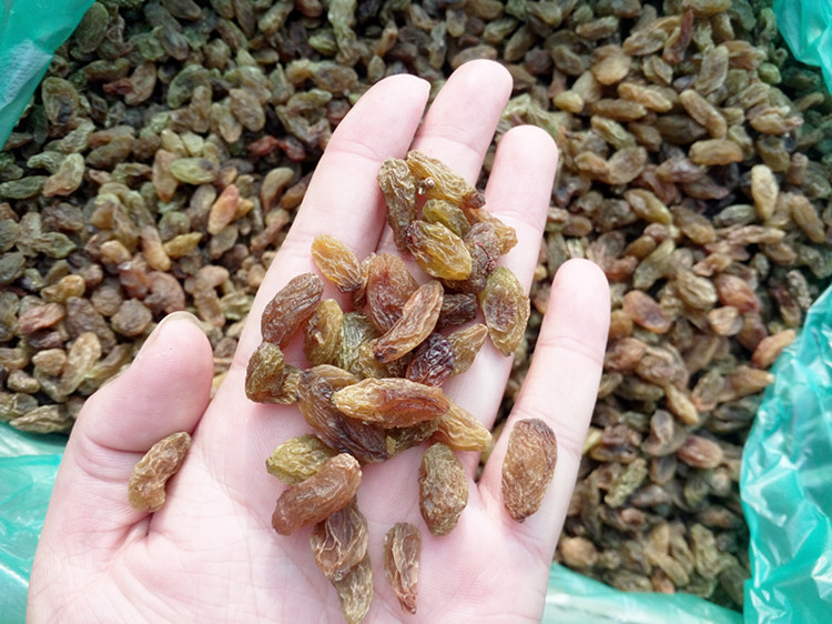 包邮特价葡萄干新疆散装批发奶茶店蛋糕房专用无籽无核葡萄干500g