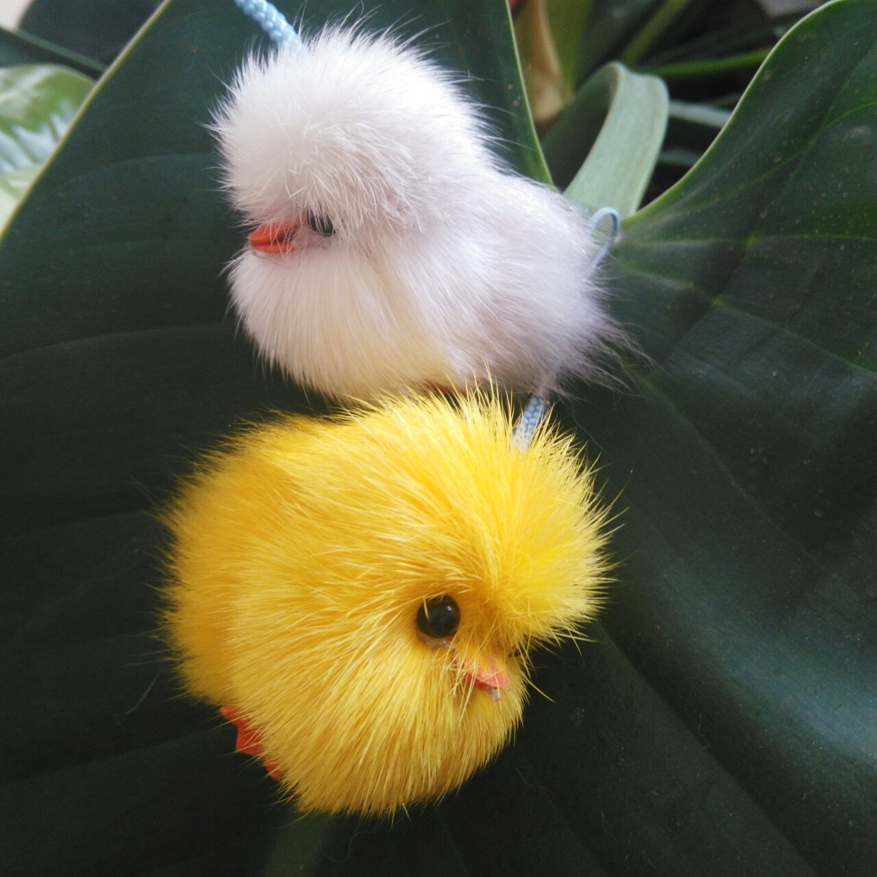 迷你版带尾巴小鸡手机链真毛皮草精品挂件婚庆赠送礼品批发