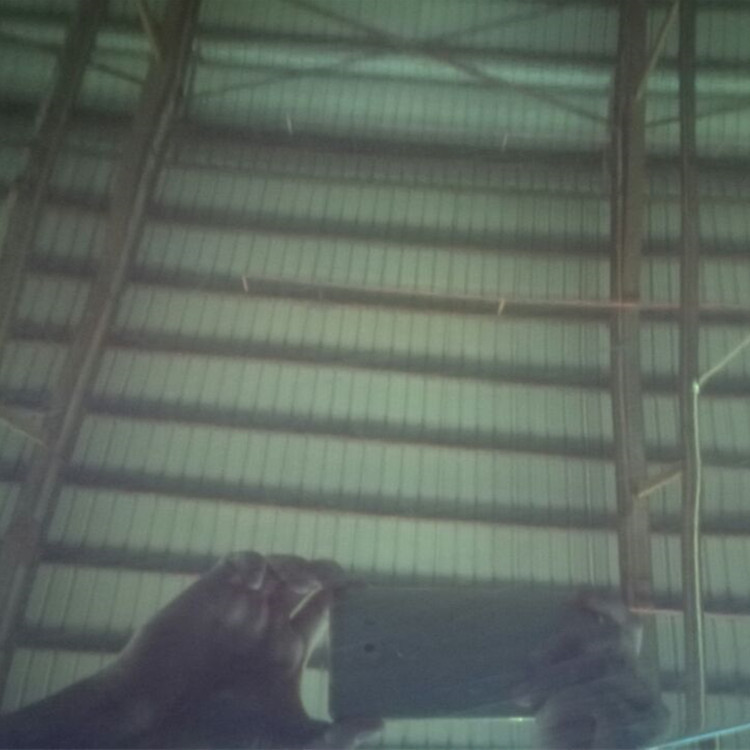 01CF6B0B4764B48CCDFA770686084F