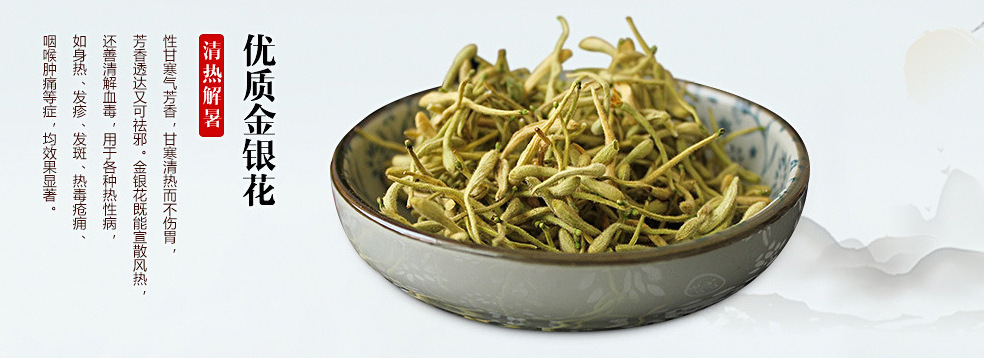 金银花提取物 忍冬提取物10:1