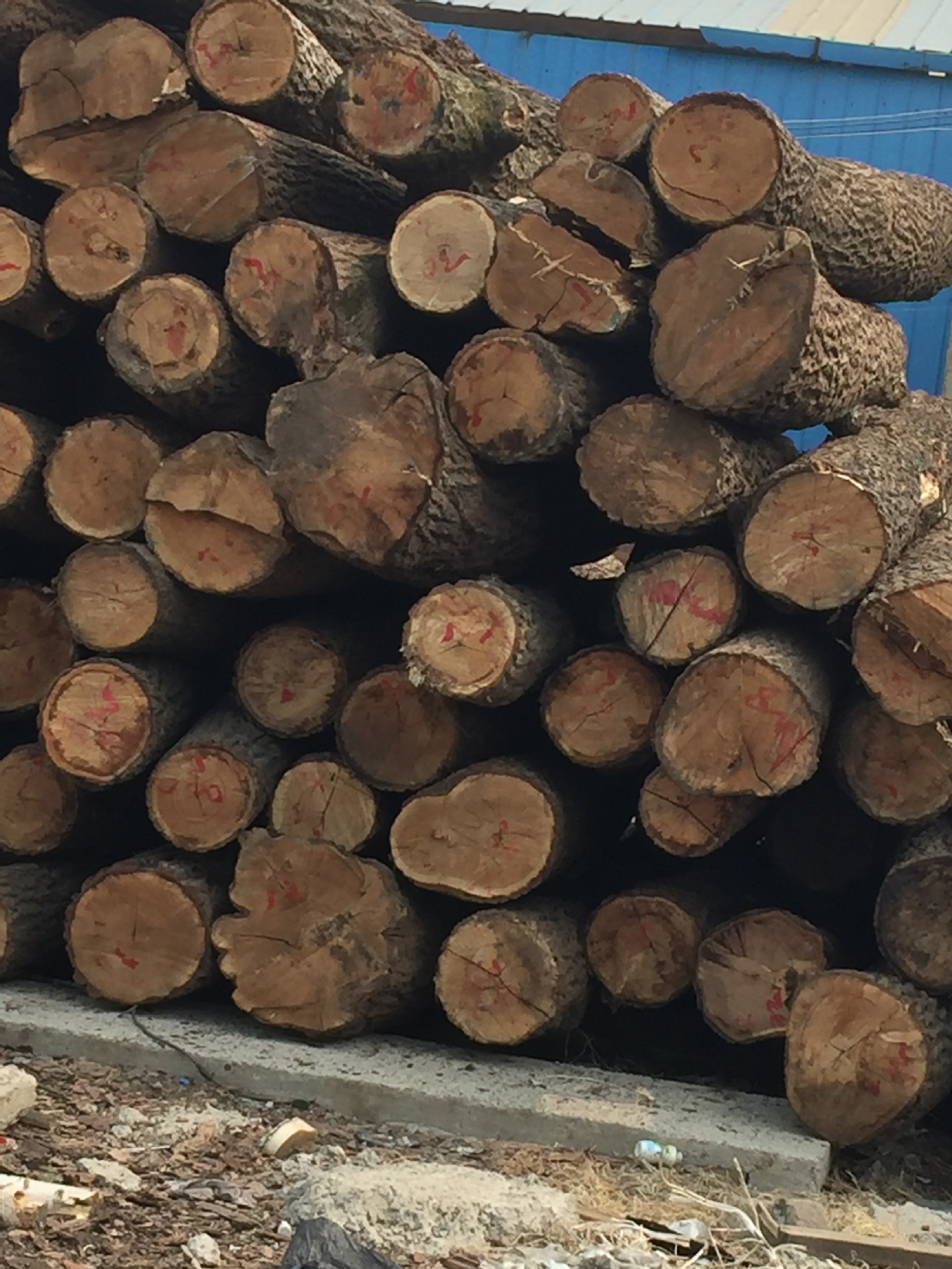 供应木材 核桃木板材 核桃木原木